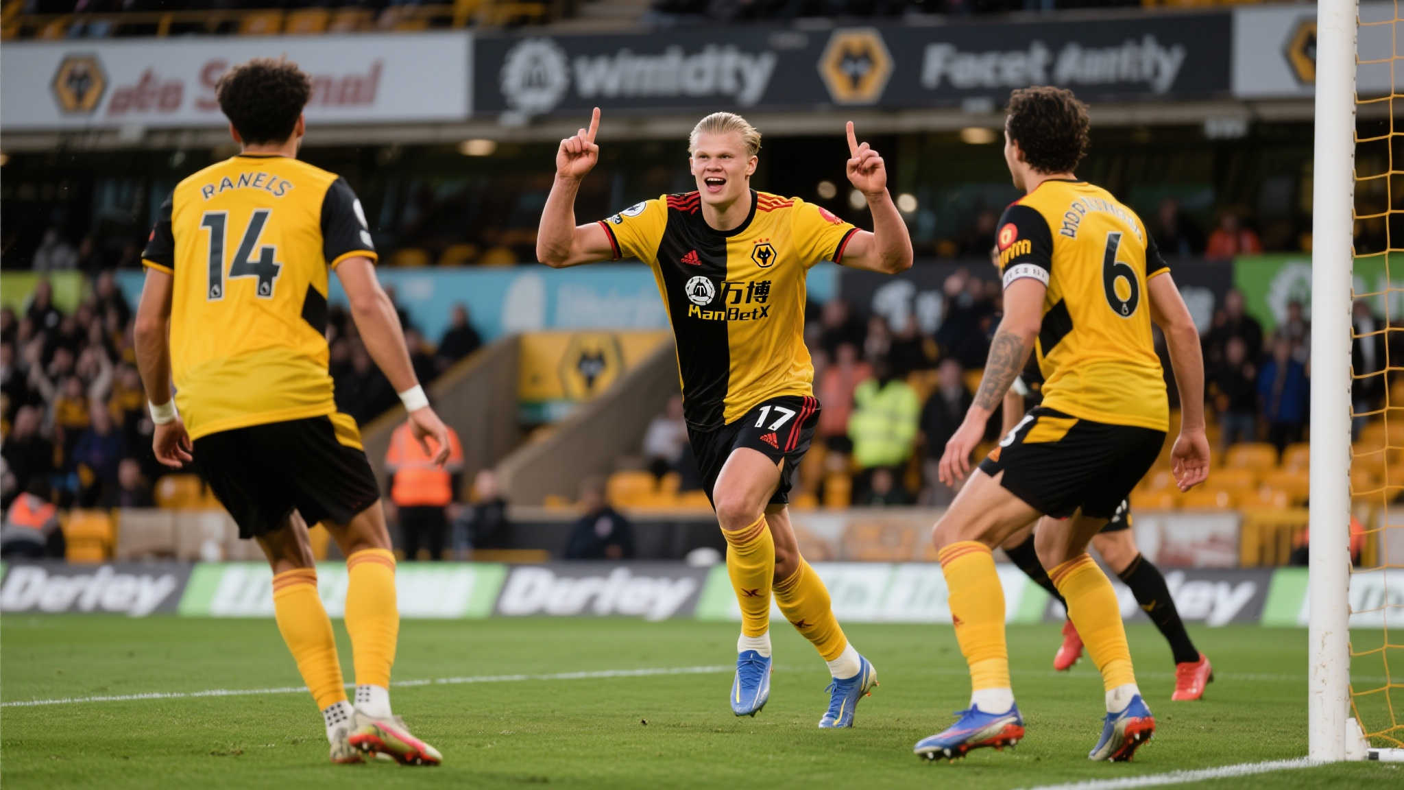 世界杯直播额团队